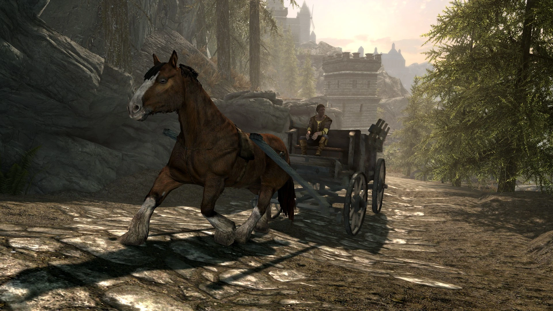 Carousel image